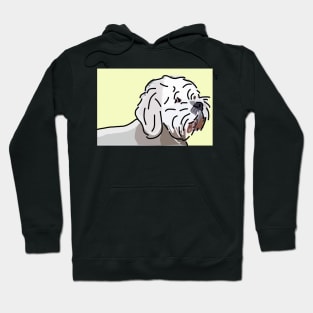 Bichon Frise Dog on Yellow Hoodie